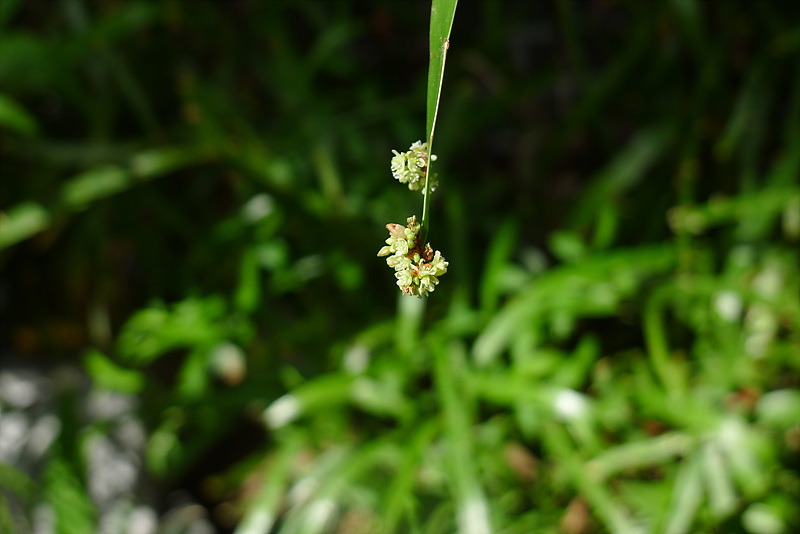 20120911-L1030421.jpg