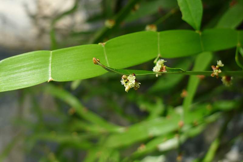 20120911-L1030424.jpg