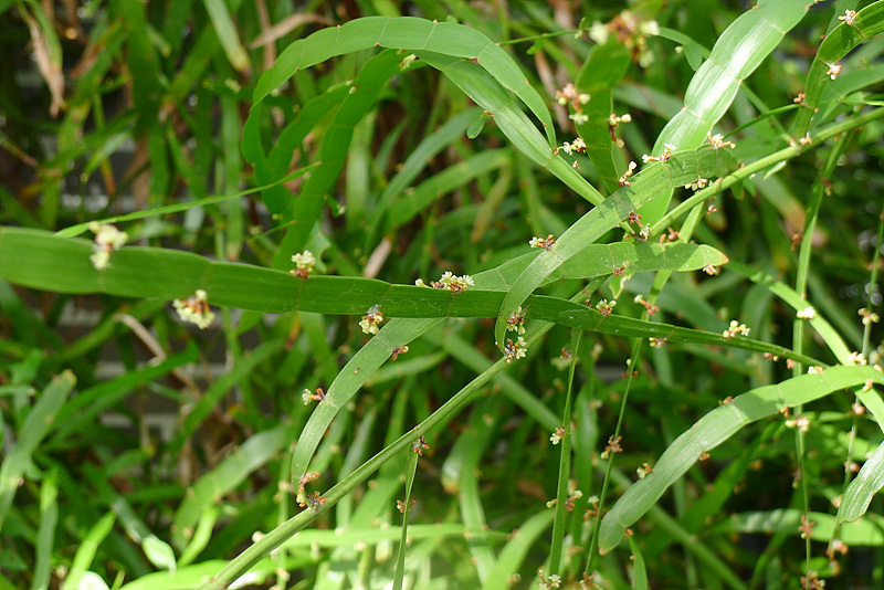 20120911-L1030423.jpg