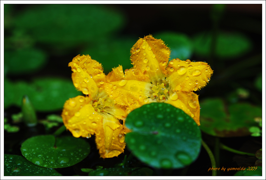 DSC_2806.jpg