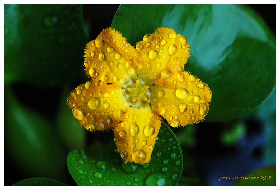 DSC_2801.jpg