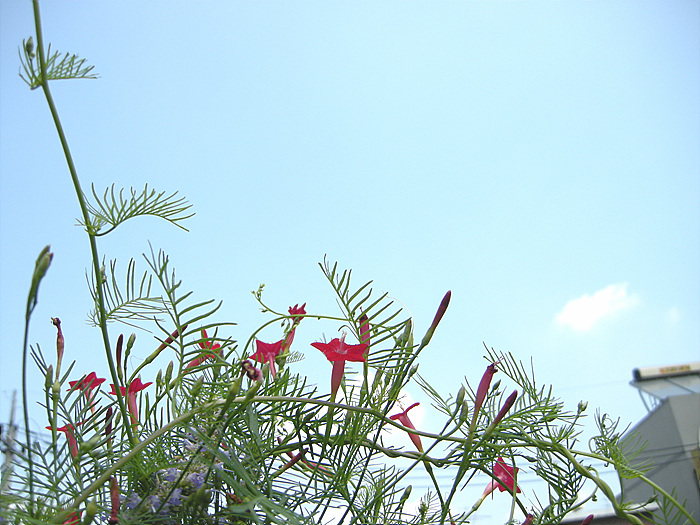 사진 035.jpg