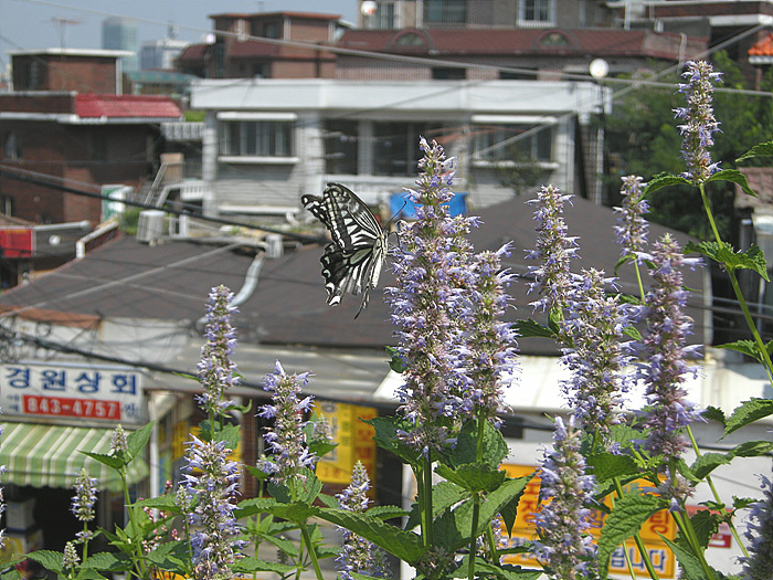 사진 034.jpg