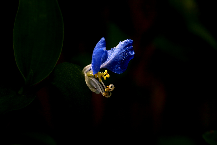 90831 019.jpg