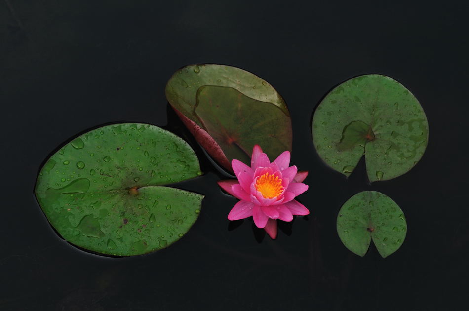 DSC_9028.jpg