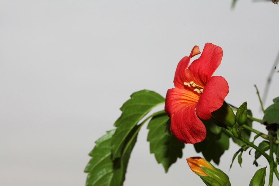 DSC_9193.jpg