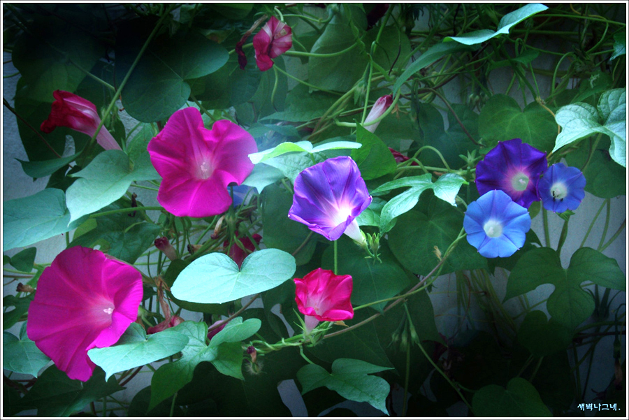 DSC04868ㅈㅈw.jpg