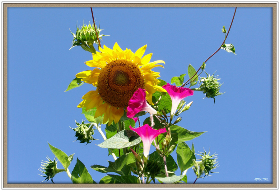 DSC04640www.jpg