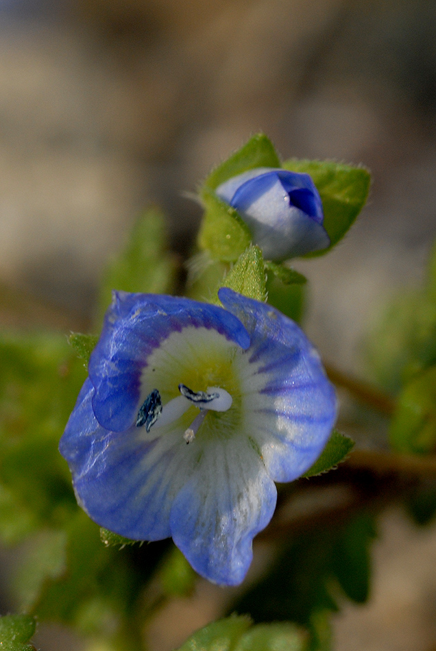 DSC_00031.jpg