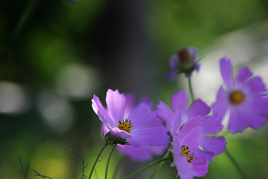 20110925 096.jpg