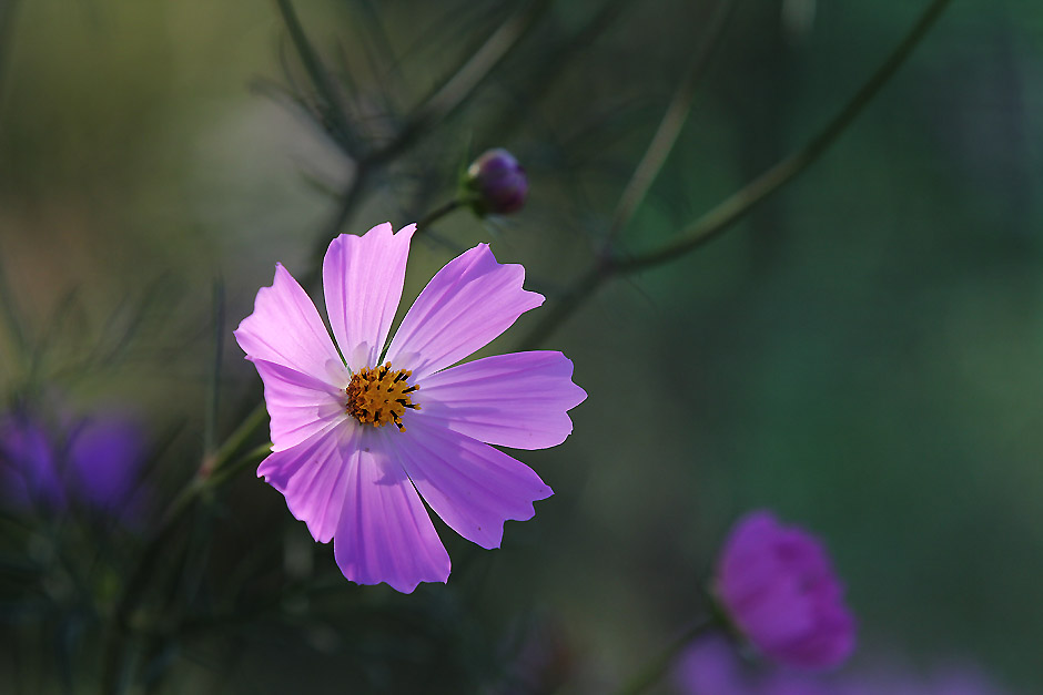 20110925 098.jpg