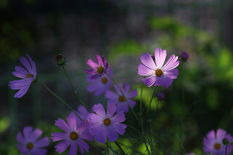 20110925 003.jpg