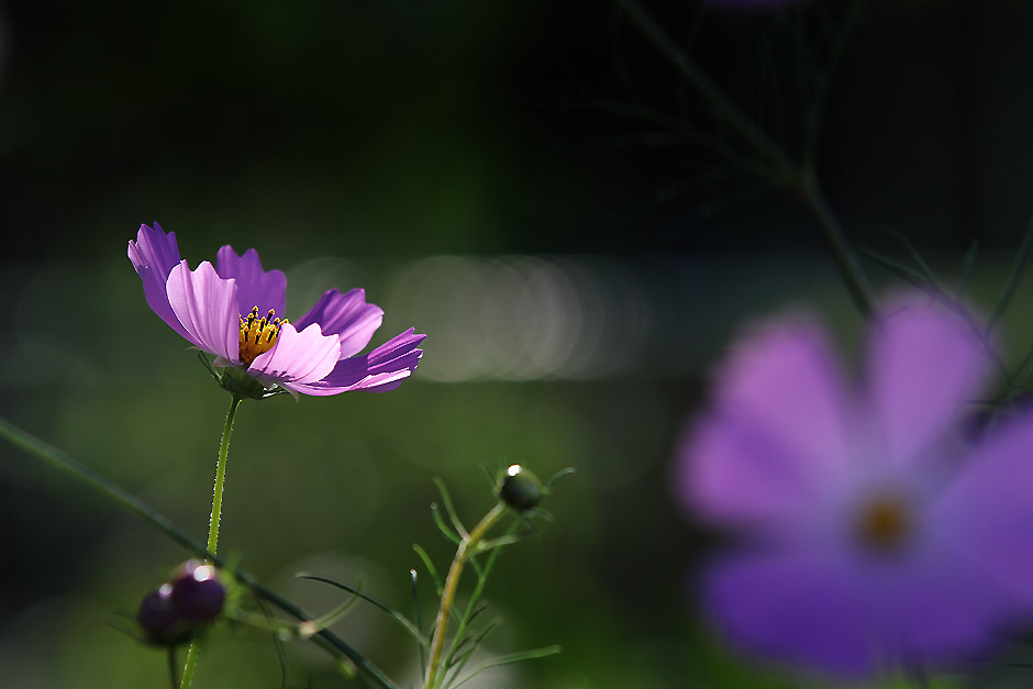 20110925 094.jpg
