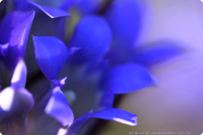 사본_16f71b00de1422ad62068ac9ad8a0dee.jpg