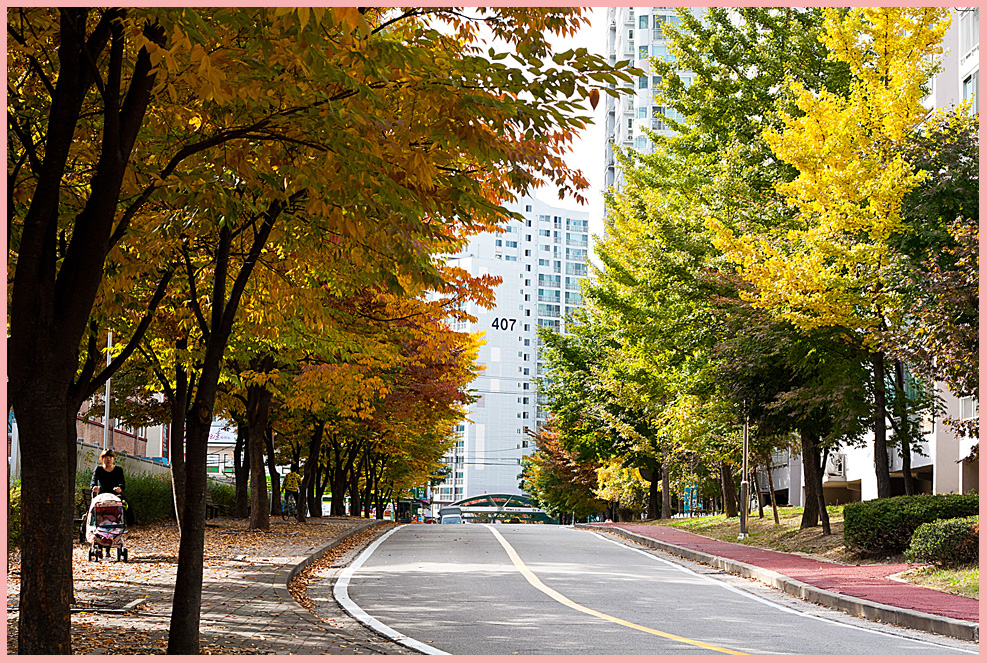 가을의 길섶에서47-4717.jpg