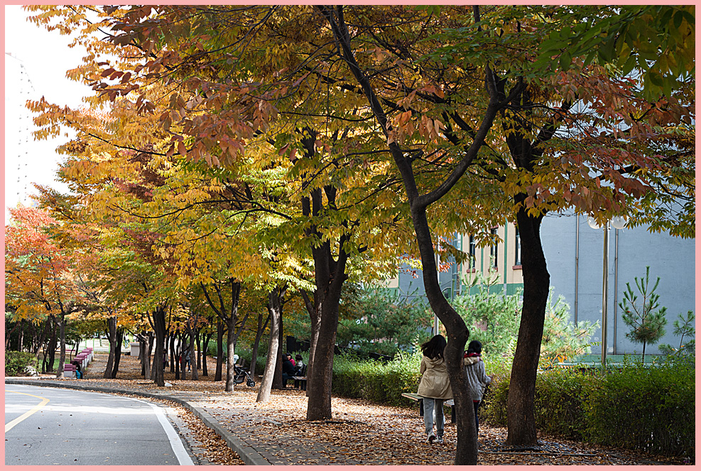 가을의 길섶에서47-4712.jpg
