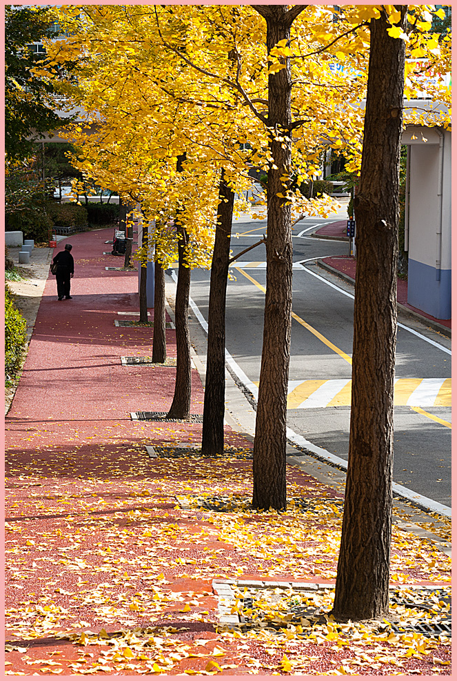 가을의 길섶에서47-4718.jpg