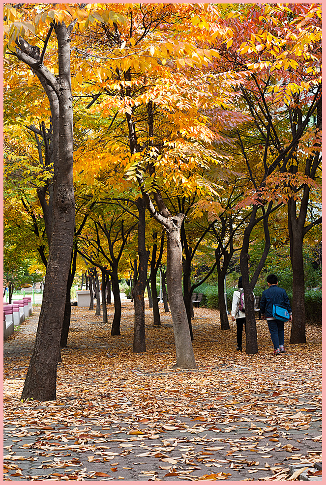 가을의 길섶에서47-4715.jpg
