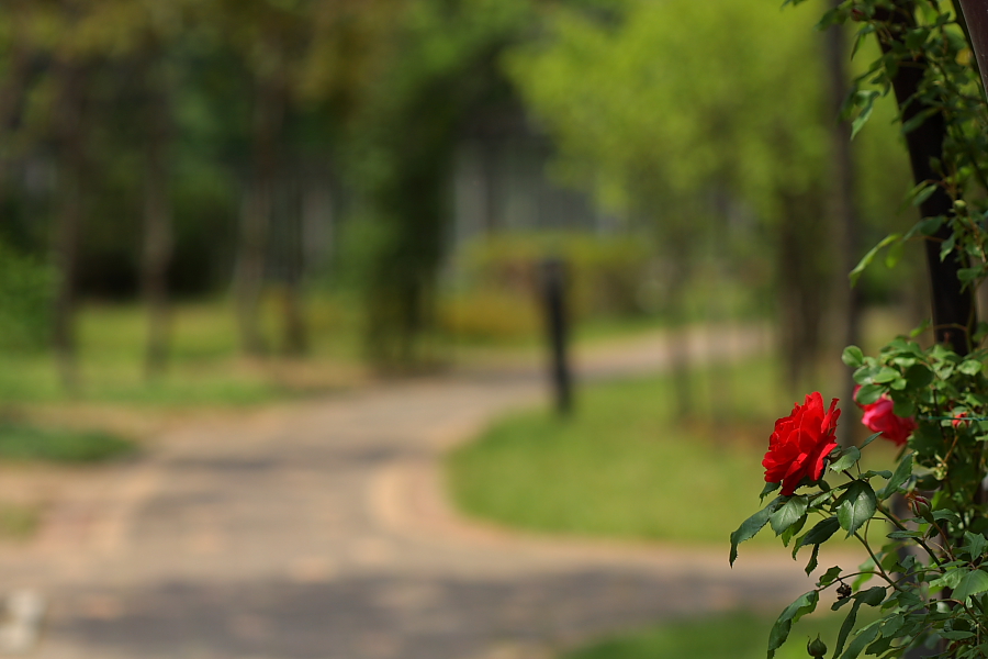 20080517_014.jpg