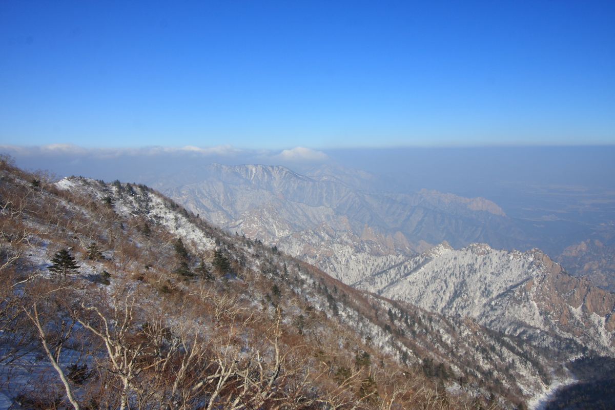IMG_1651.JPG