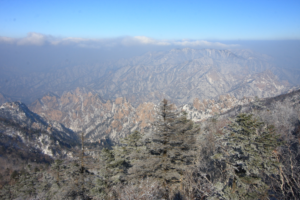 IMG_1616.JPG