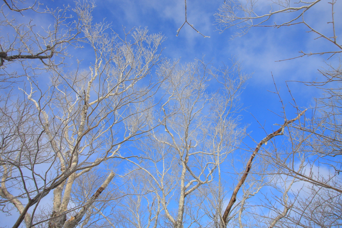 IMG_1575.JPG
