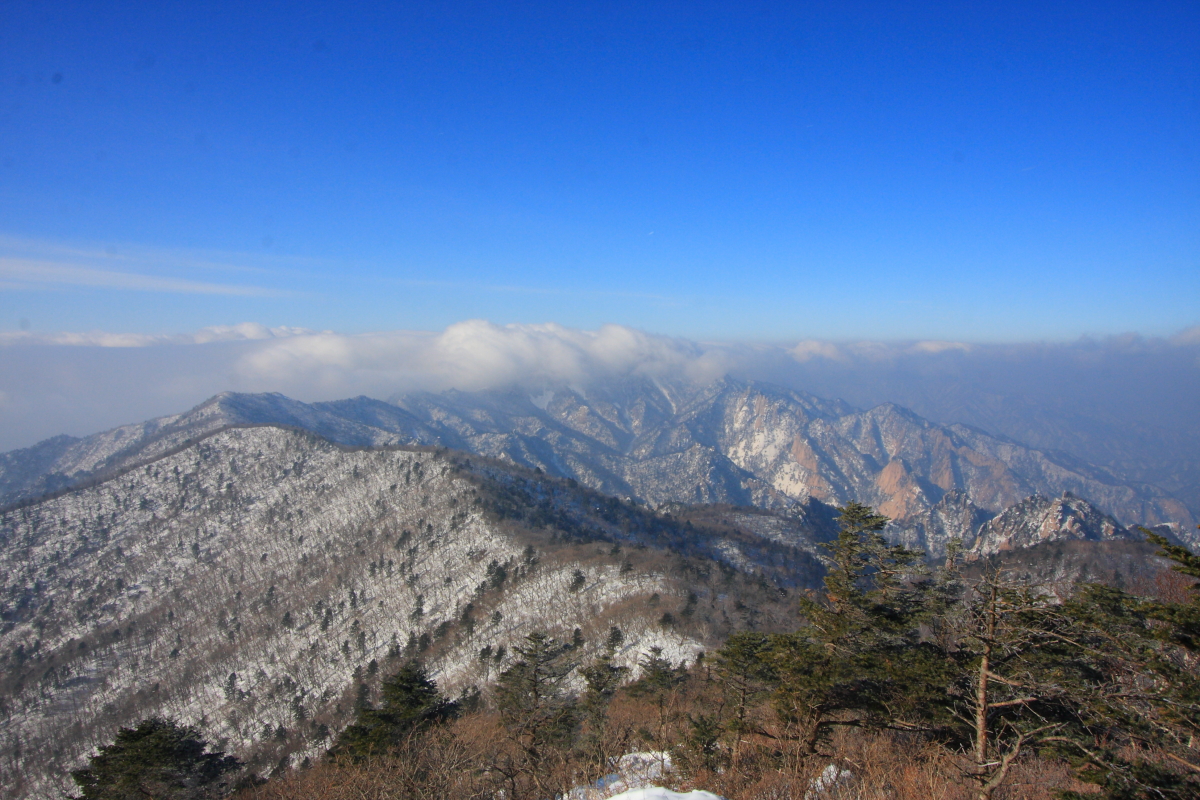 IMG_1586.JPG