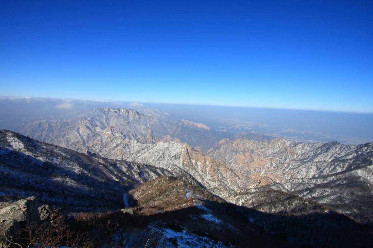 IMG_1675.JPG