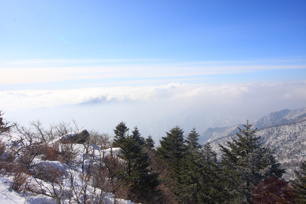 IMG_1597.JPG