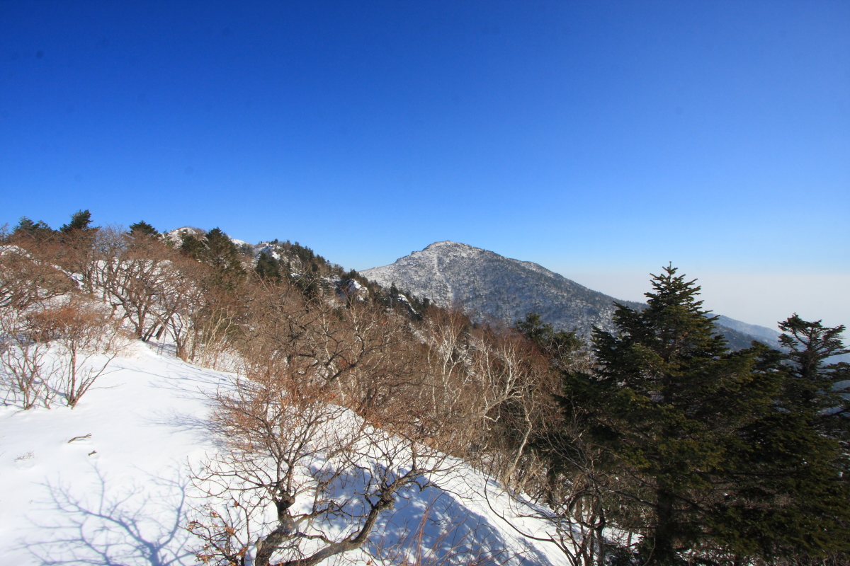 IMG_1609.JPG