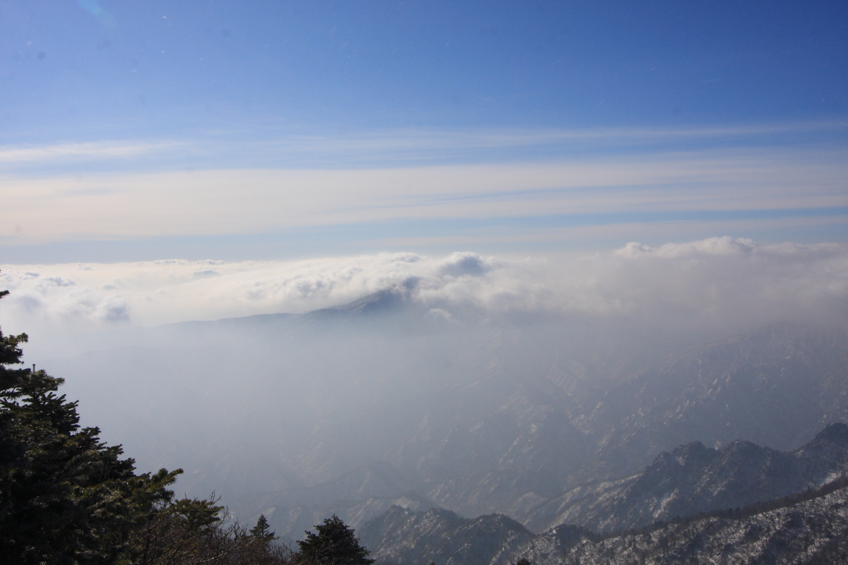 IMG_1583.JPG
