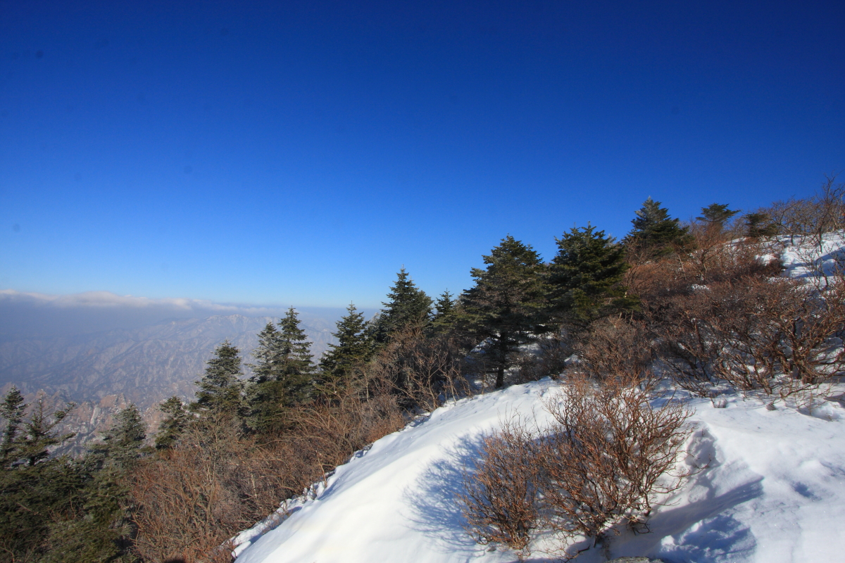 IMG_1602.JPG