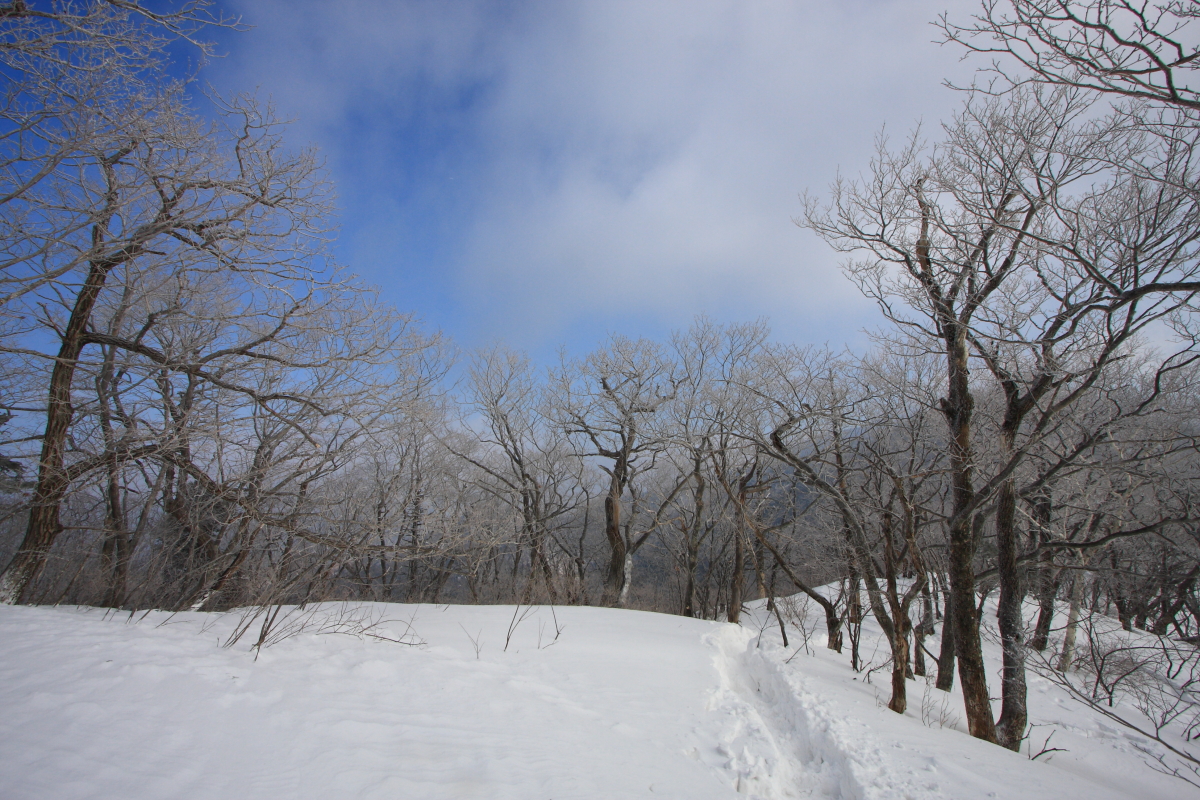 IMG_1565.JPG