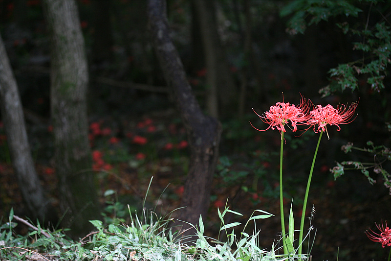2009.09.21 015.jpg