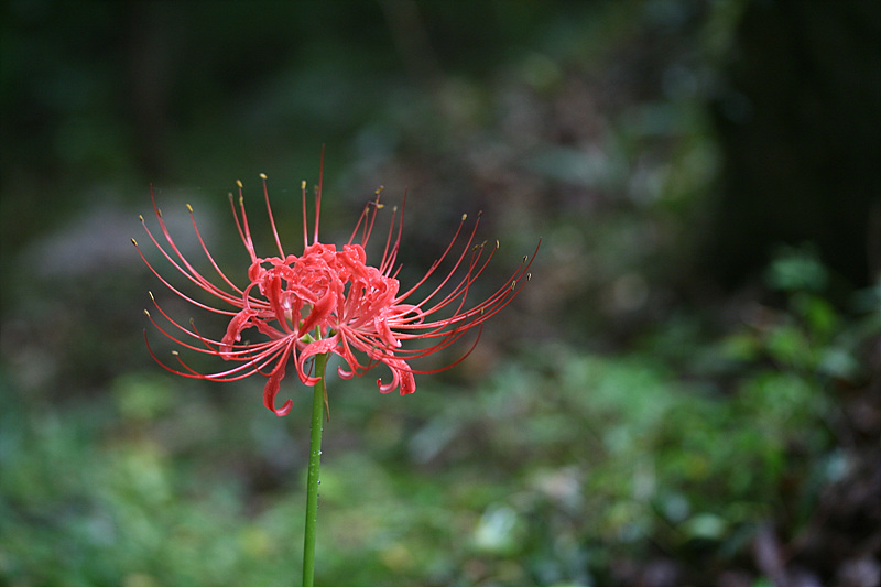 2009.09.21 041.jpg