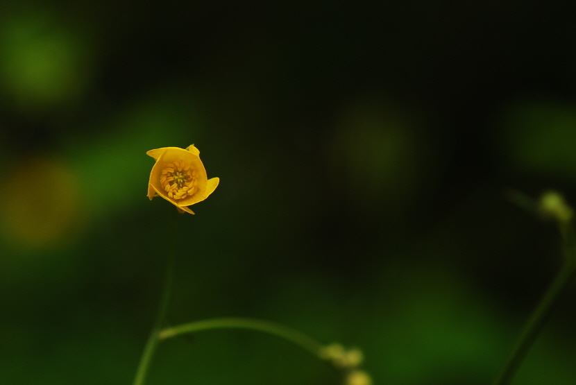 크기변환_DSC_0244.JPG