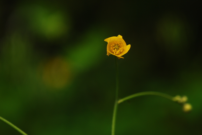 크기변환_DSC_0239.JPG