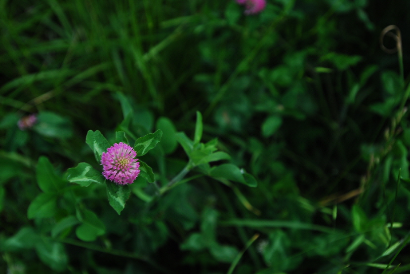 크기변환_DSC_0229.JPG