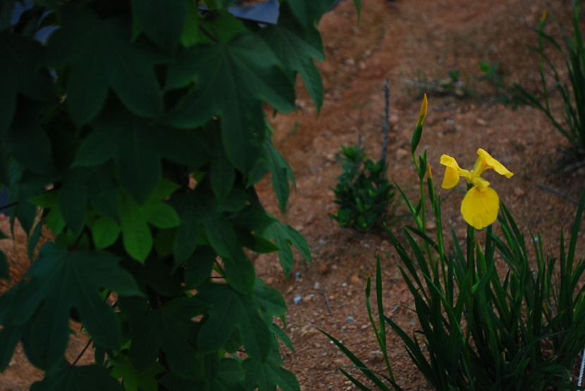 크기변환_DSC_0210.JPG
