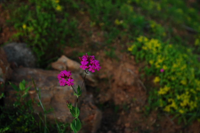 크기변환_DSC_0201.JPG