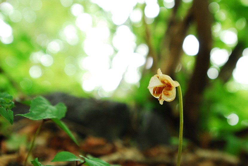 크기변환_DSC_0035.JPG