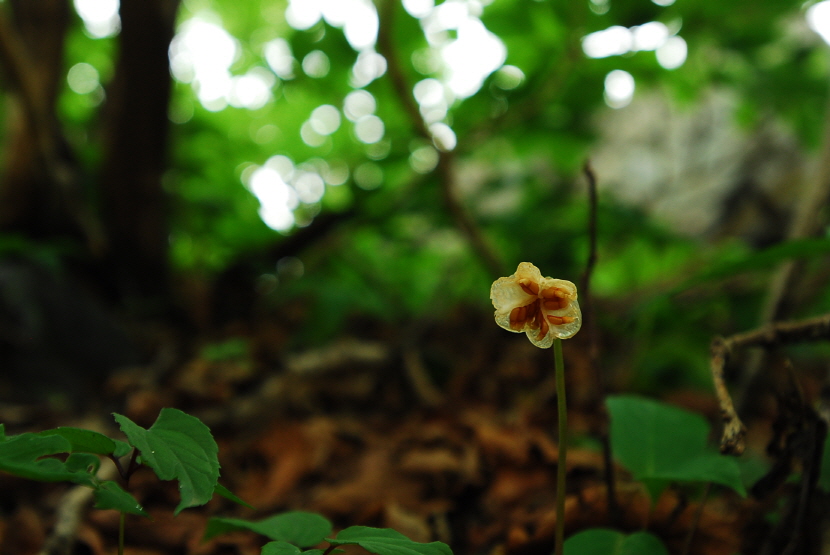 크기변환_DSC_0040.JPG
