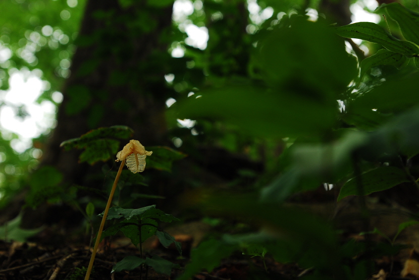 크기변환_DSC_0033.JPG