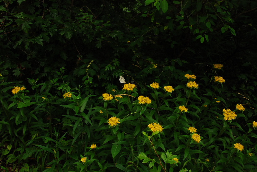 크기변환_DSC_0155.JPG