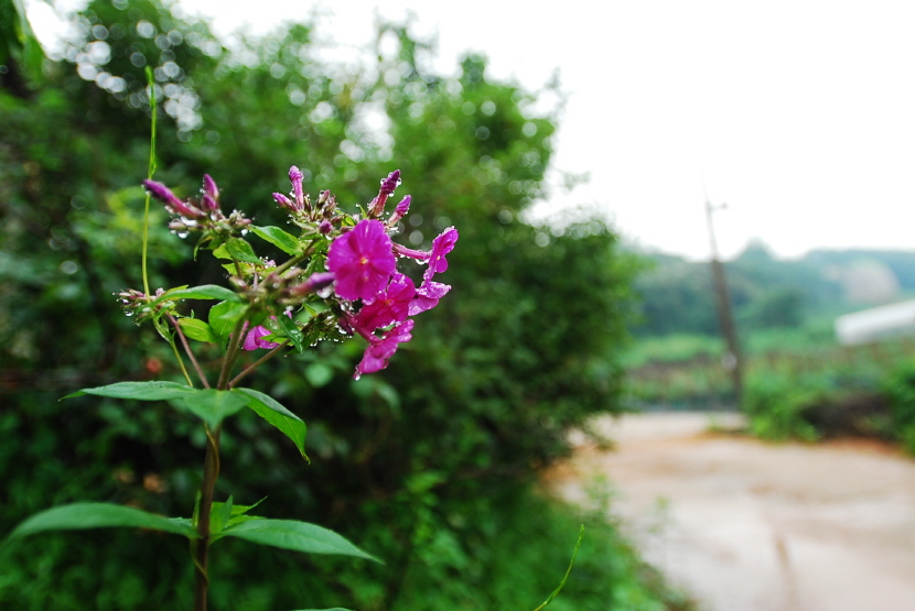 크기변환_DSC_0225.JPG
