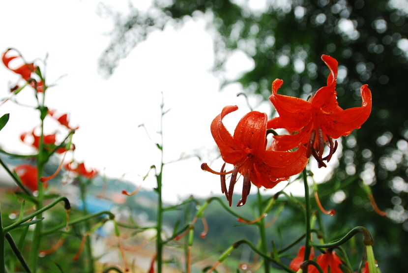 크기변환_DSC_0202.JPG