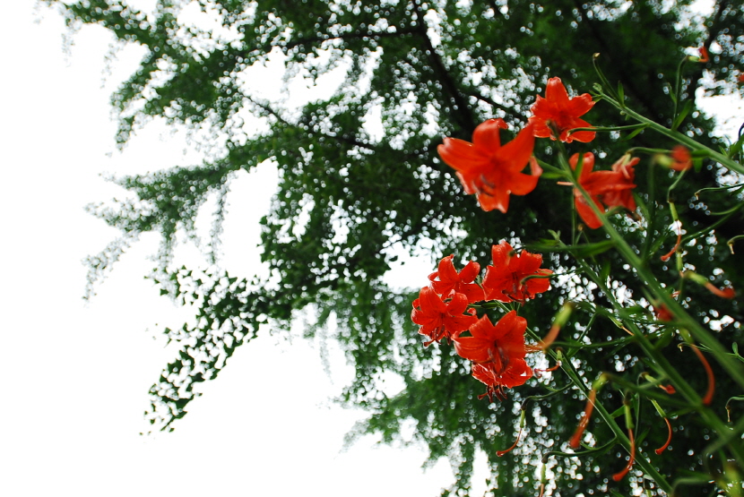 크기변환_DSC_0200.JPG