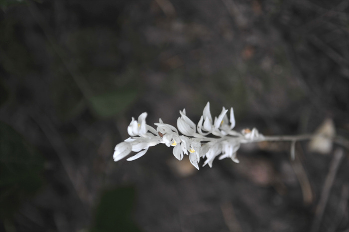 DSC_2800_rotate.jpg
