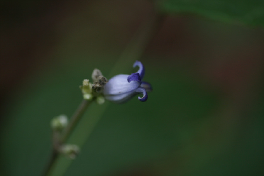 20090720 064.jpg