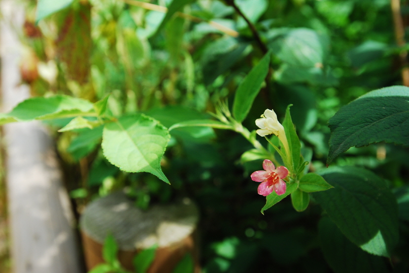 크기변환_DSC_0120.JPG